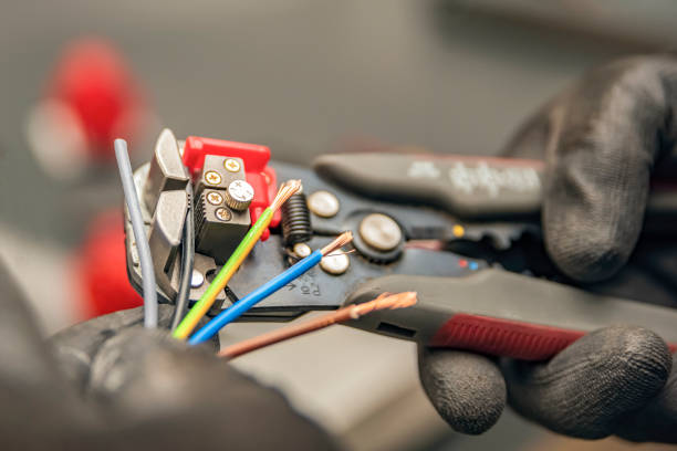 Best Electric Panel Repair  in Waelder, TX